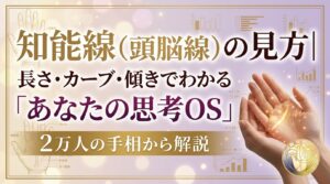知能線（頭脳線）の見方｜長さ・カーブ・傾きでわかる「あなたの思考OS」2万人の手相から解説