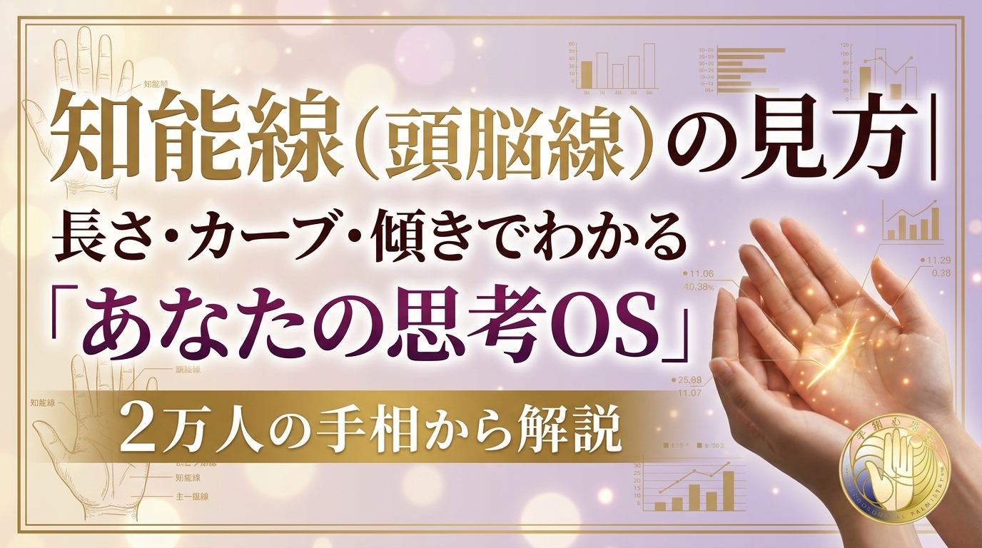知能線(頭脳線)の見方|長さ・カーブ・傾きでわかる「あなたの思考OS」2万人の手相から解説